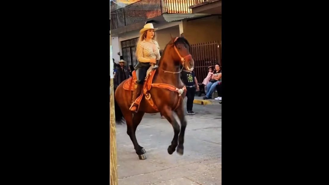 The Understanding Horse